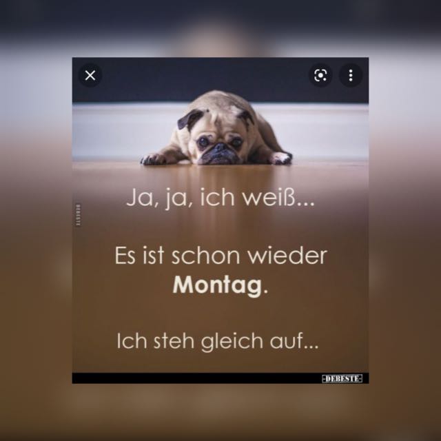 Depressiv & Verzweifelt