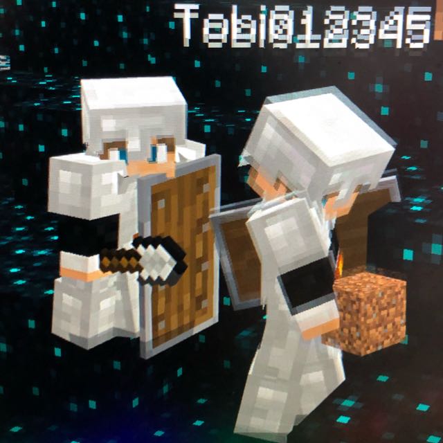 Minecraft, Musik, usw