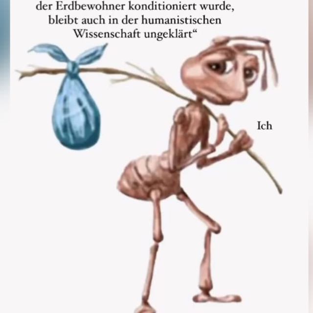 Putalonos und Dogi