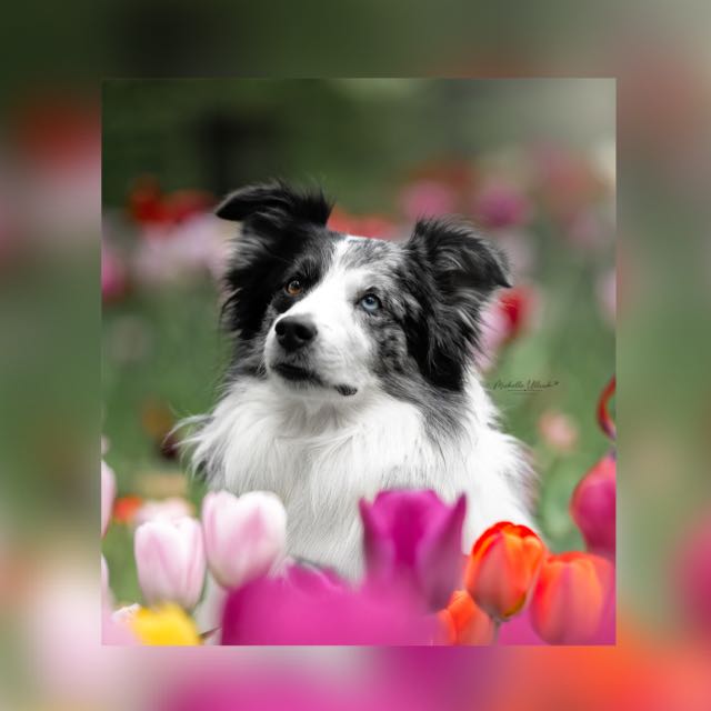 Vorgruppe Fotografie