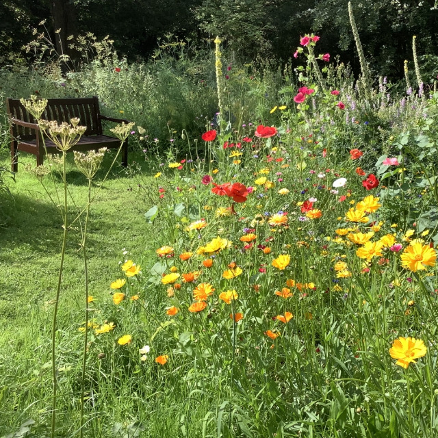 Little Garden Vorgruppe