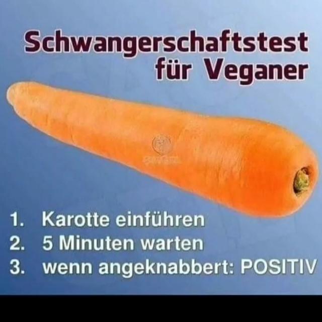 Die Versauten