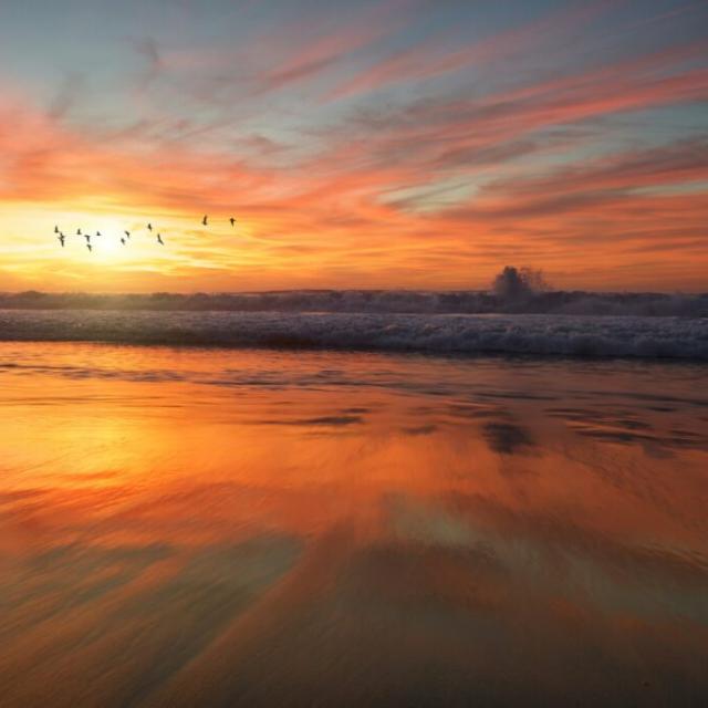 Nicht allein mit psychischen Erkrankungen 💜